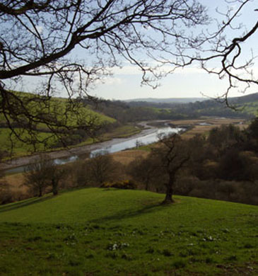 River Dart Totnes, within walking distance of The Grove, Bed and Breakfast, Totnes